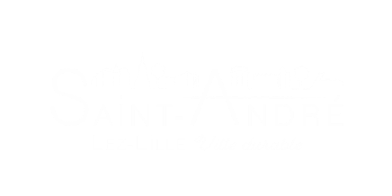 Saint André lez Lille