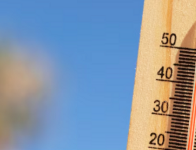 Vigilance canicule