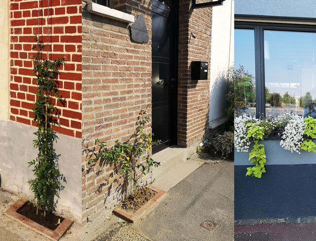 Végétaliser votre façade !