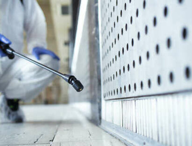 Campagne de dératisation 2025