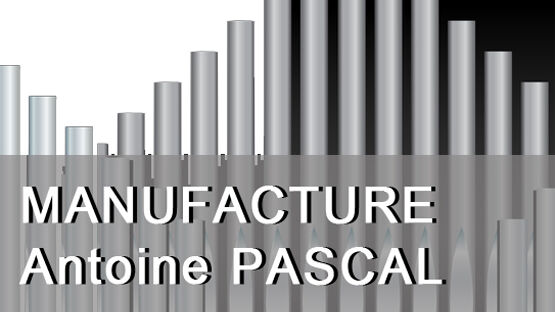 Pascal Facteur d'Orgues