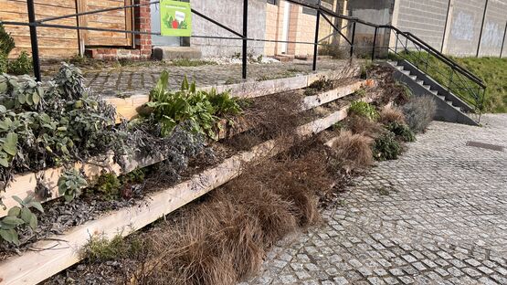 Jardin partagé de la Rue Sainte-Héléne