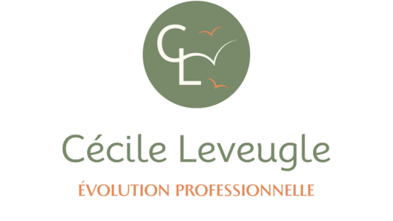 Cécile Leveugle - Evolution professionnelle