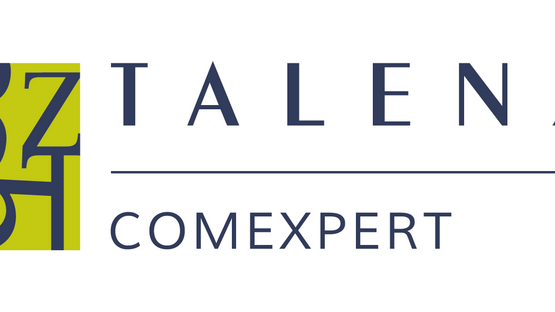 TALENZ AUDIT