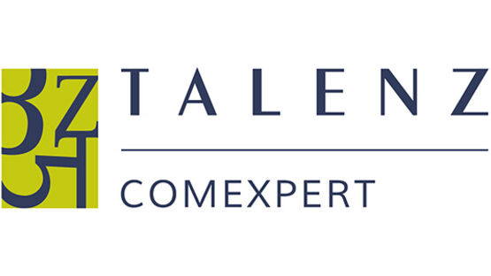 Talenz Audit